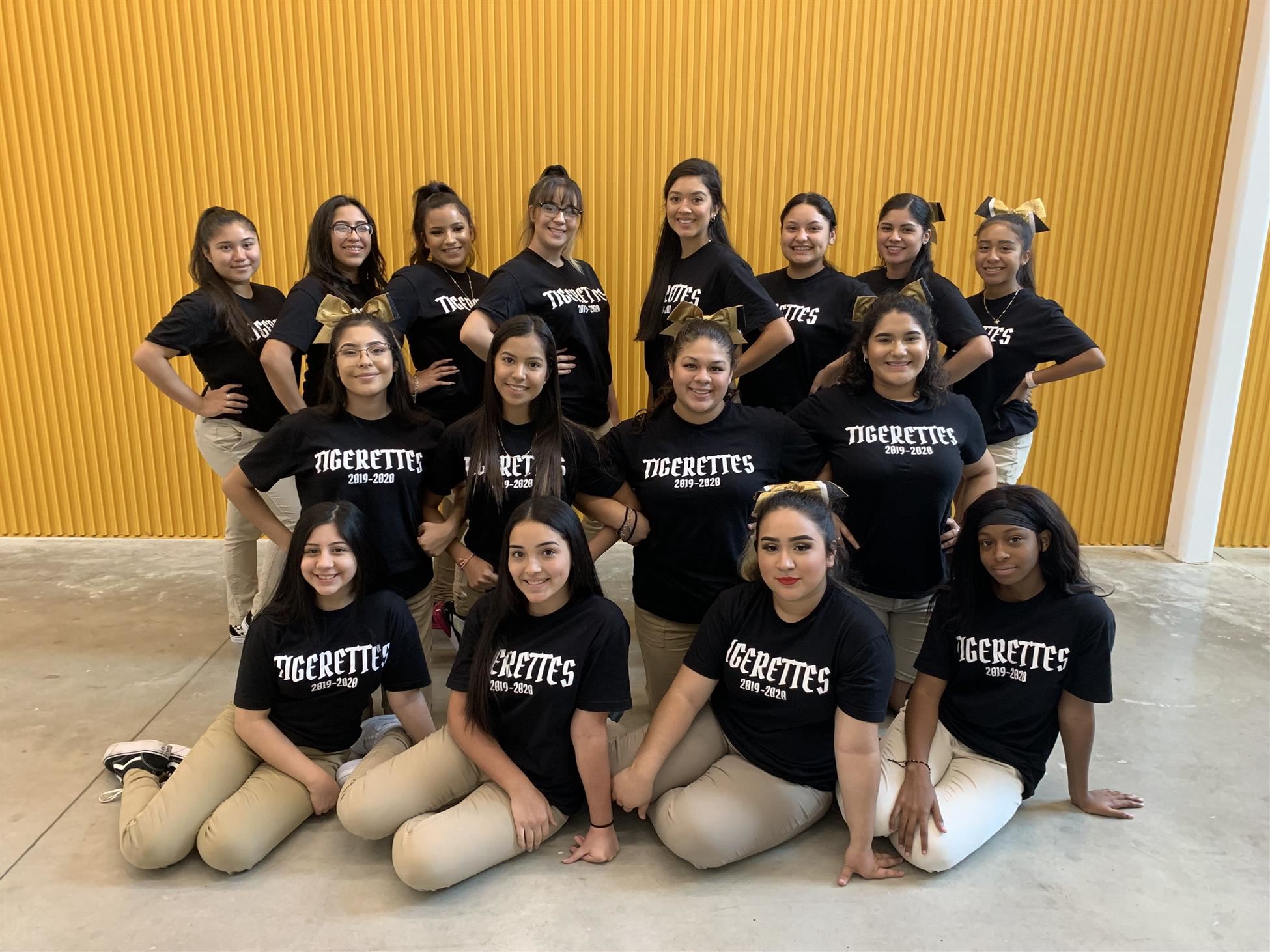 A photo sowing the student members of our Tigerette Dance Team.